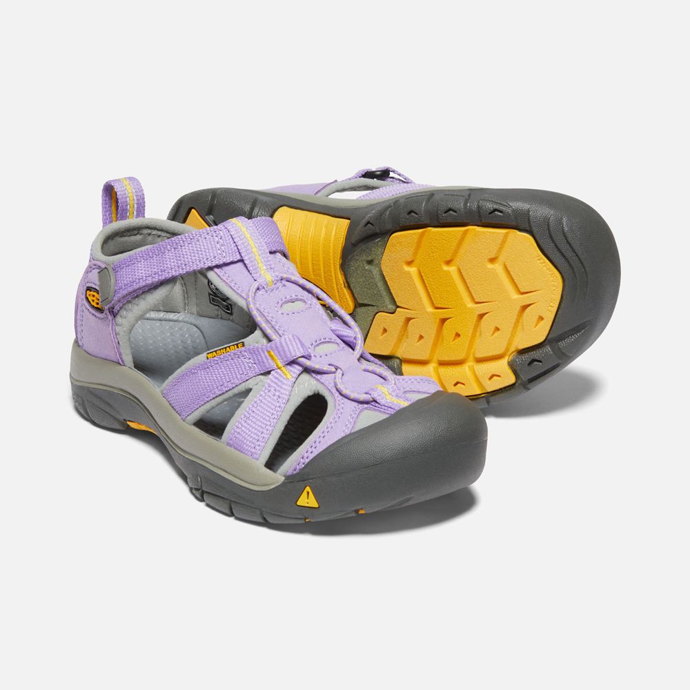 Sandales Keen Enfant Violette | Venice H2 | OYHLF-9032